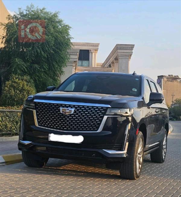 كاديلاك اسكاليد 2021 للبيع في العراق - السليمانية